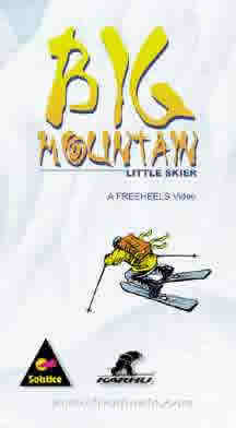 Big Mountain Little Skier